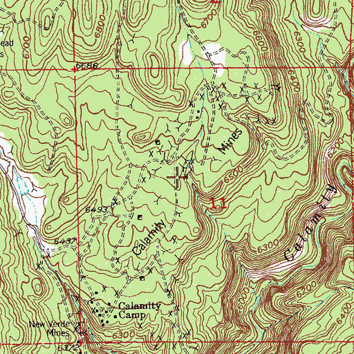 Topographic Map of Calamity Mines, CO