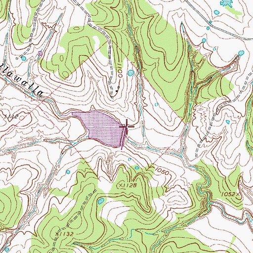 Topographic Map of Soil Conservation Service Site 22 Dam, TX