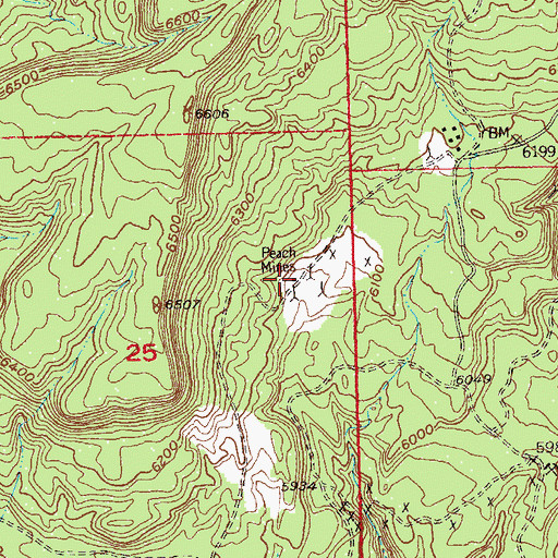 Topographic Map of Peach Mines, CO