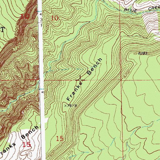 Topographic Map of Franks Bench, CO