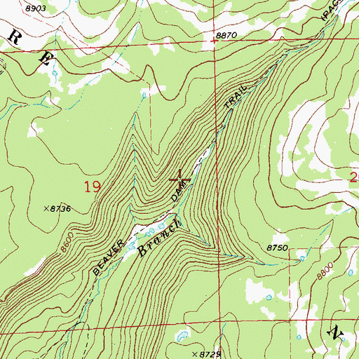 Topographic Map of Beaver Dam Trail, CO