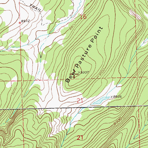 Topographic Map of Beef Pasture Point, CO