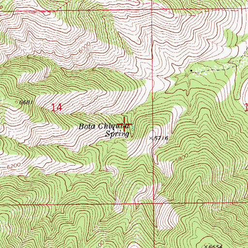 Topographic Map of Bota Chiquita Spring, AZ