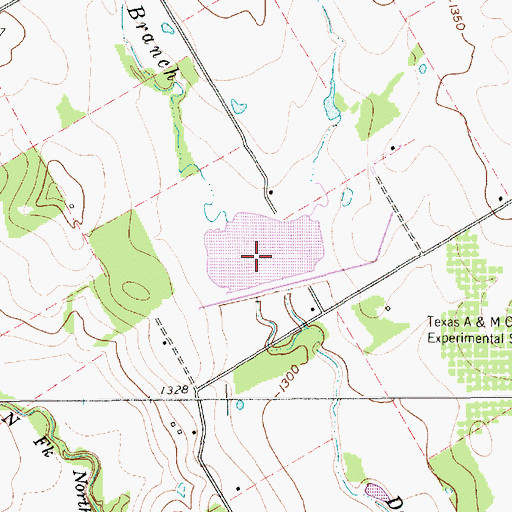 Topographic Map of Soil Conservation Service Site 6 Dam, TX