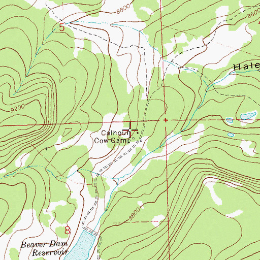 Topographic Map of Calhoun Cow Camp, CO