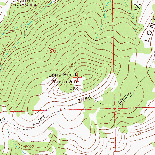 Topographic Map of Long Point Mountain, CO