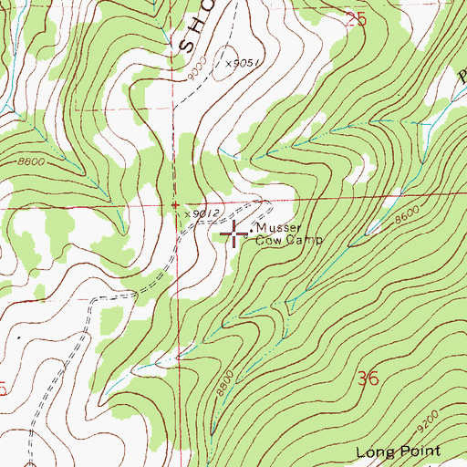 Topographic Map of Musser Cow Camp, CO
