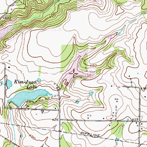 Topographic Map of Big L Lake Dam, TX