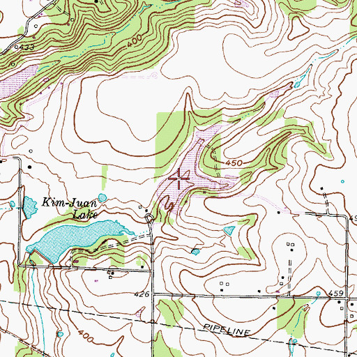 Topographic Map of Big L Lake, TX