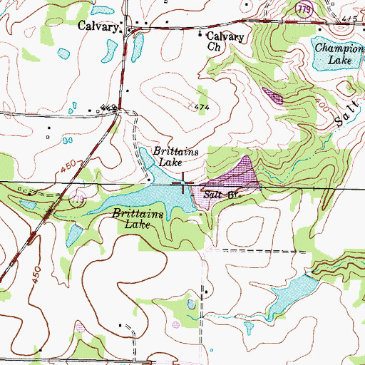 Topographic Map of Brittain Lake Dam, TX
