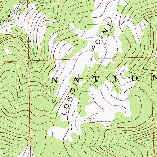 Topographic Map of Long Point, CO