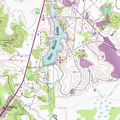 Topographic Map of New Wells Dam Number 1, TX