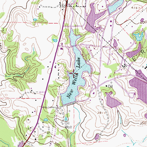 Topographic Map of New Wells Lake, TX