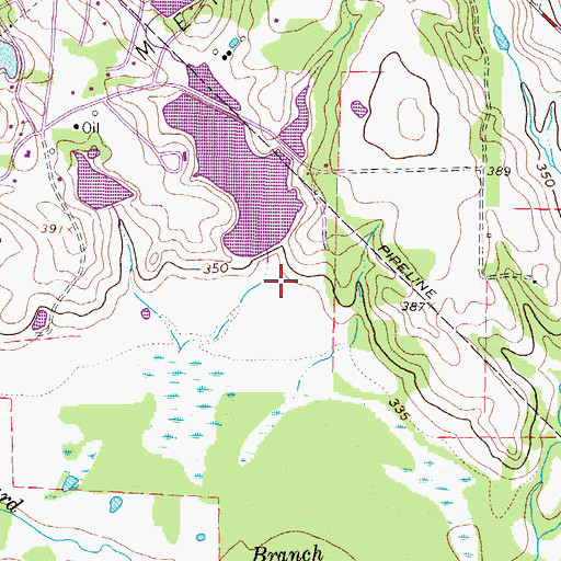 Topographic Map of Wells Lake Number 4, TX