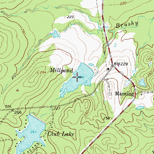 Topographic Map of Manning Mill Ponds, TX