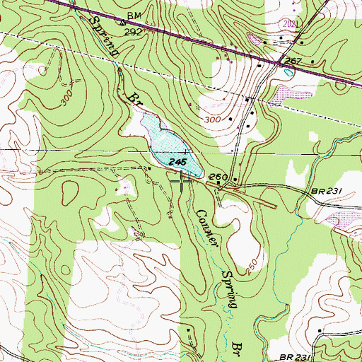 Topographic Map of Blackburn Lake, TX