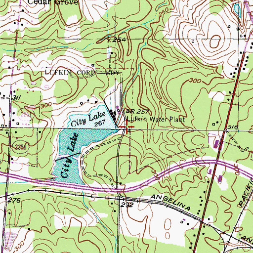 Topographic Map of Ellen Trout Memorial Lake Dam, TX