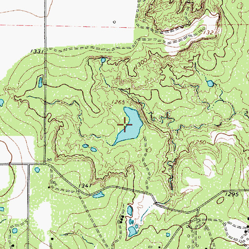 Topographic Map of Megargel Creek Reservoir, TX