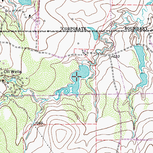 Topographic Map of Preston Lake, TX