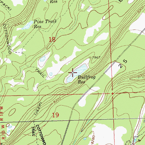 Topographic Map of Bullfrog Reservoir, CO