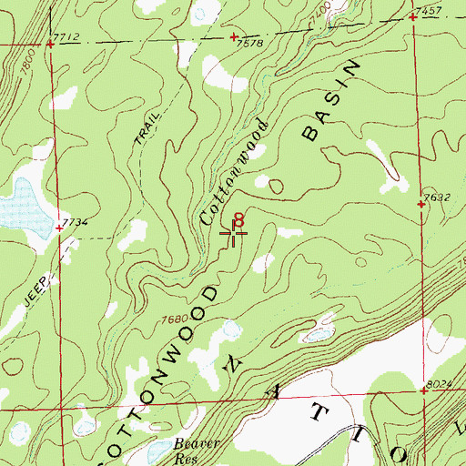Topographic Map of Cottonwood Basin, CO