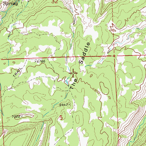 Topographic Map of The Saddle, CO