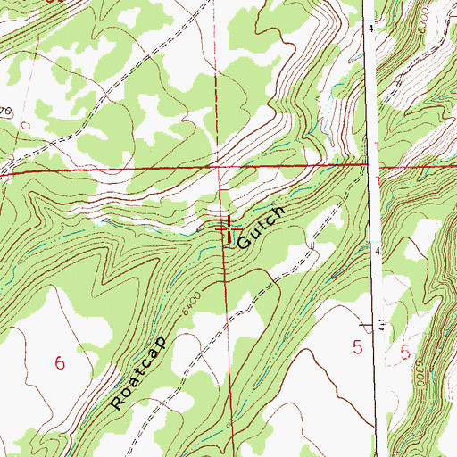 Topographic Map of Middle Fork Roatcap Gulch, CO