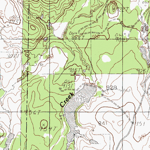 Topographic Map of Branson Lake, TX