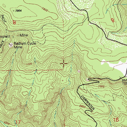 Topographic Map of Carpenter Ridge, CO