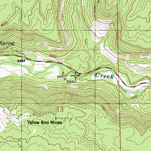 Topographic Map of Lion Creek, CO