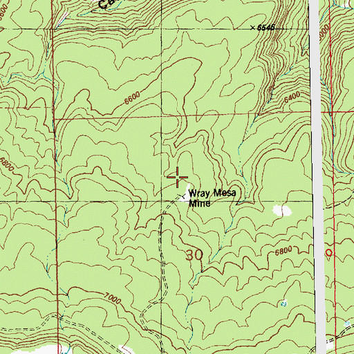Topographic Map of Wray Mesa Mine, CO