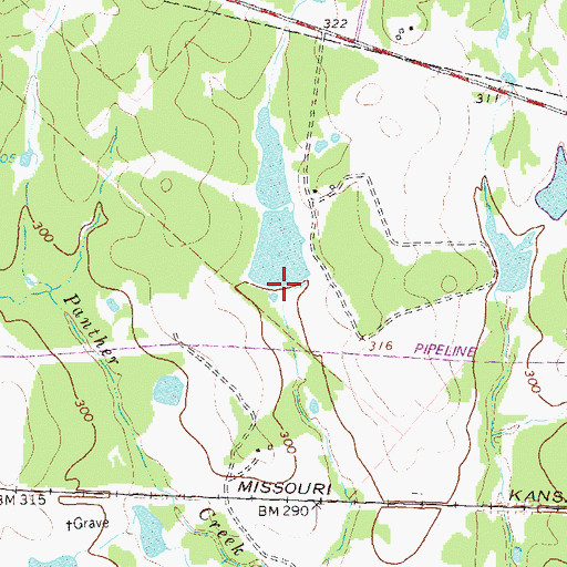 Topographic Map of Moore Lake, TX