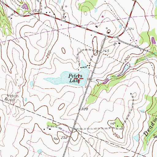 Topographic Map of Peters Lake Dam, TX