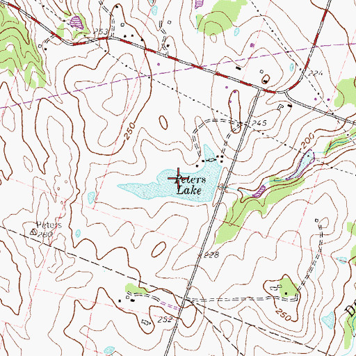 Topographic Map of Peters Lake, TX