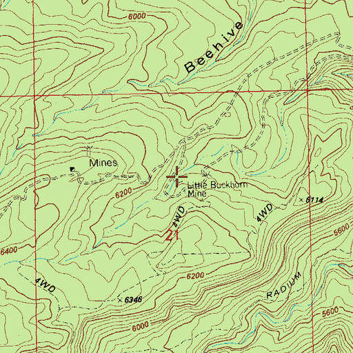 Topographic Map of Little Buckhorn Mine, CO
