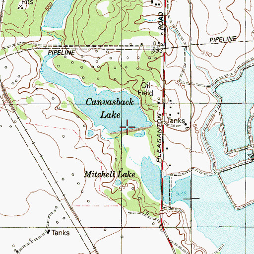 Topographic Map of Canvasback Lake Dam, TX