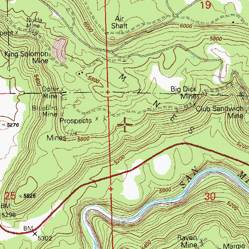 Topographic Map of Little Dick Mine, CO