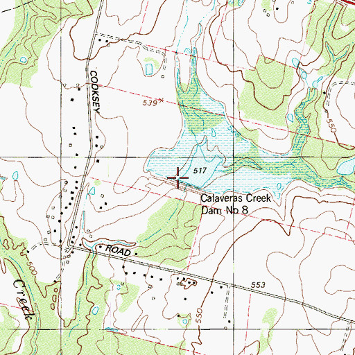 Topographic Map of Soil Conservation Service Site 8 Dam, TX