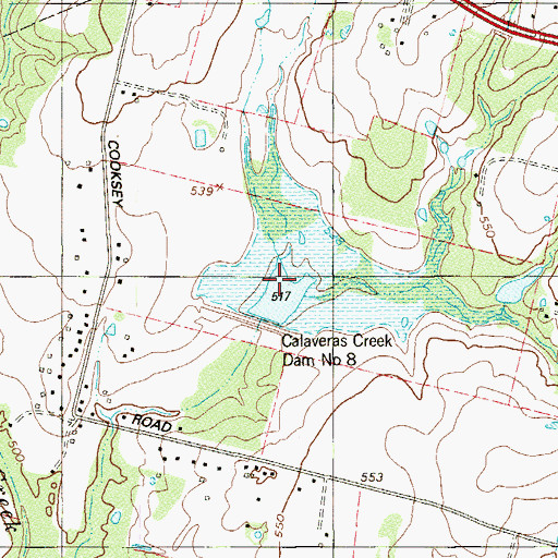 Topographic Map of Soil Conservation Service Site 8 Reservoir, TX