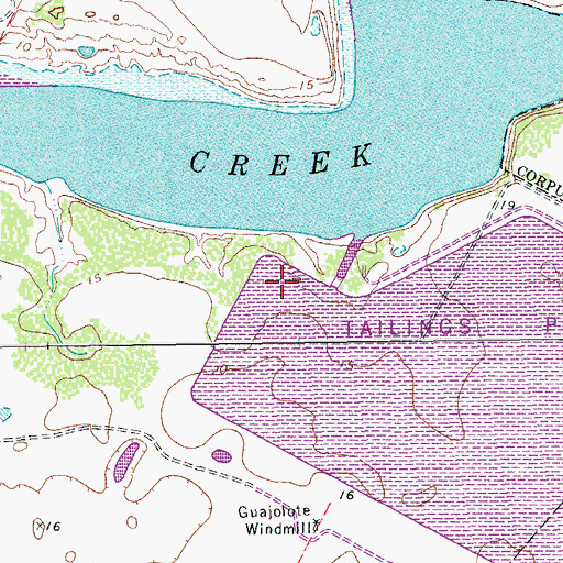 Topographic Map of Barney M Davis Cooling Reservoir Dam, TX