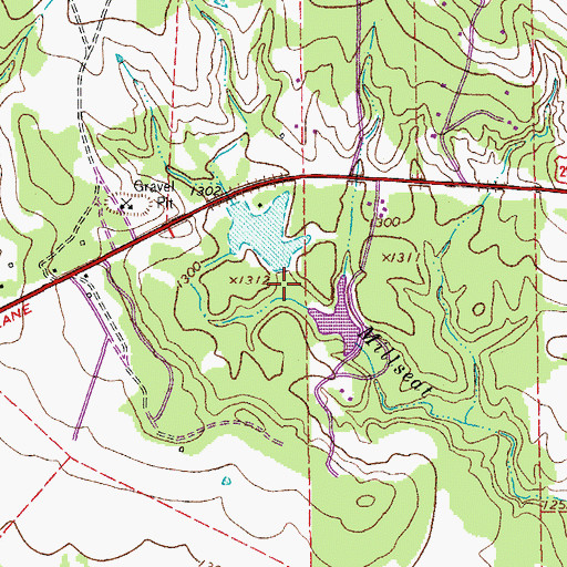 Topographic Map of Reeves Lake Dam, TX
