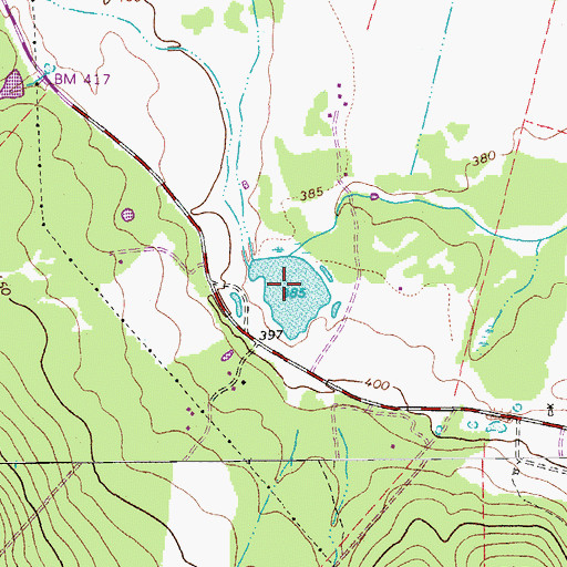Topographic Map of Bishop Lake, TX