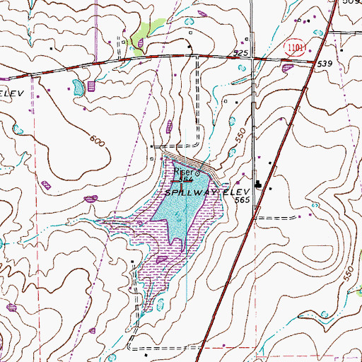 Topographic Map of Soil Conservation Service Site 8 Dam, TX