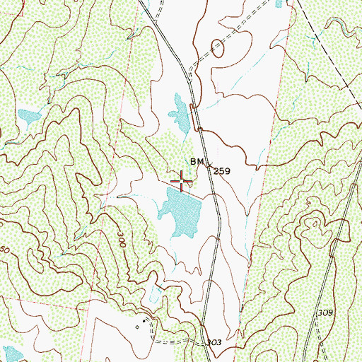 Topographic Map of Lower Ellison Lake, TX