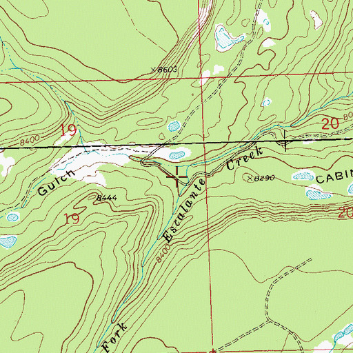 Topographic Map of Bear Pen Gulch, CO