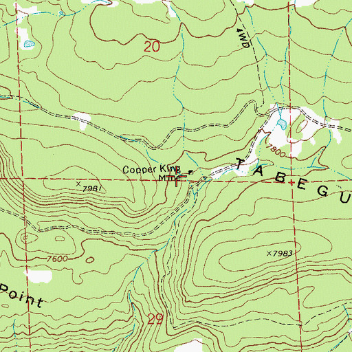 Topographic Map of Copper King Mine, CO