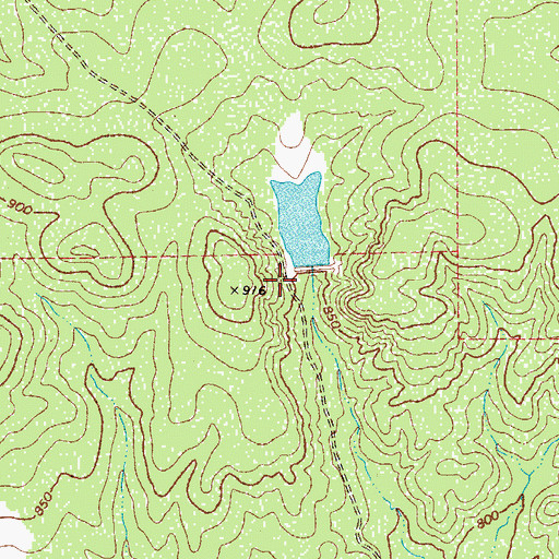 Topographic Map of Texas No Name Number 4 Dam, TX