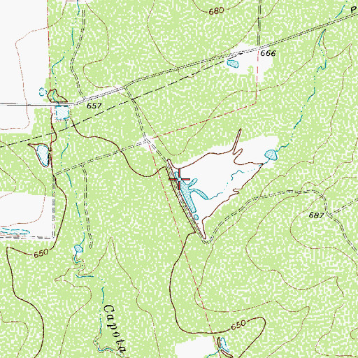 Topographic Map of Rutledge Lake Dam, TX