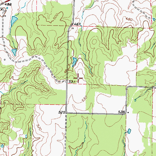 Topographic Map of Denny Lake, TX