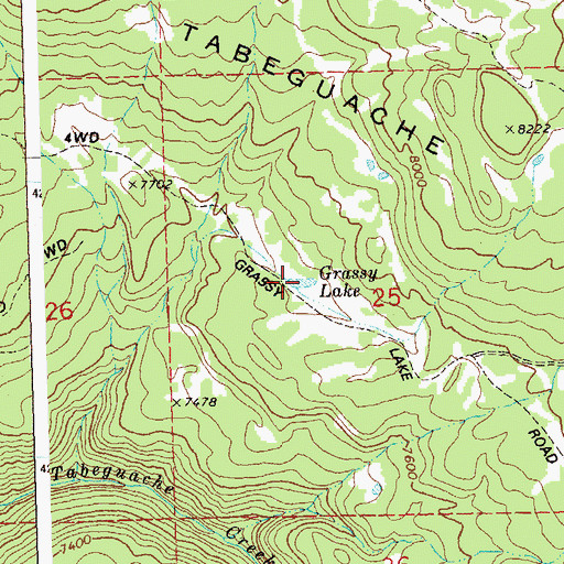 Topographic Map of Grassy Lake, CO